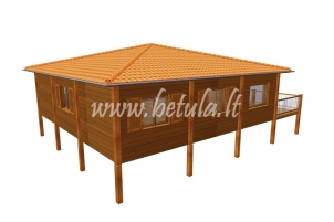 Timber house Betula 785