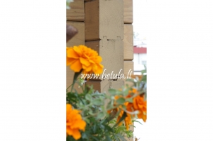Medinis namas  Betula MC 878