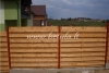 Fence Marigold double
