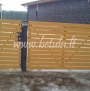 Fence Marigold single